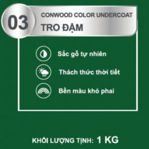 CONWOOD COLOR UNDERCOAT 03 TRO ĐẬM 1KG